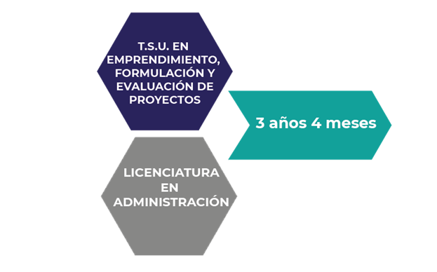 NOTICIA1