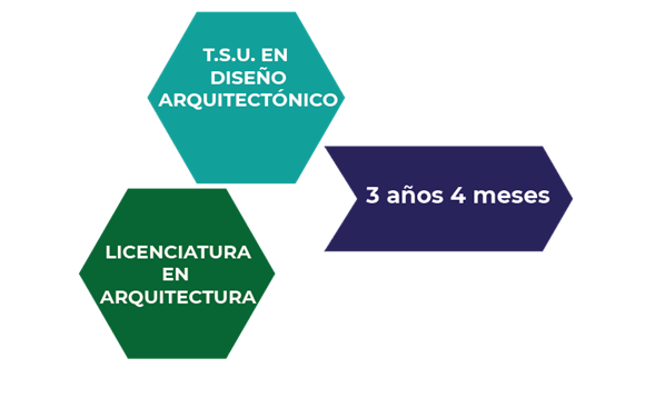 NOTICIA1