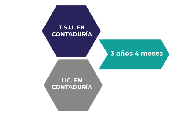 NOTICIA1