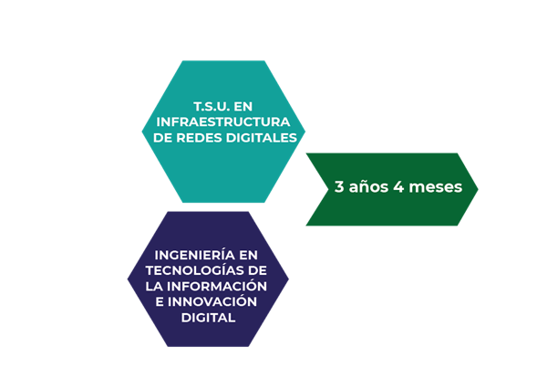 NOTICIA1